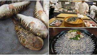 Việt Nam có 1 loài cá cực độc, nhiều người ăn vào đã tử vong, bác sĩ khuyến cáo nên loại bỏ ngay