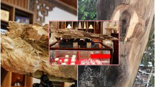 Khối gỗ trầm hương quý hiếm có hình 'Thanh bảo kiếm' từng được trả giá 1 tỷ đồng: Khó tìm khối thứ 2