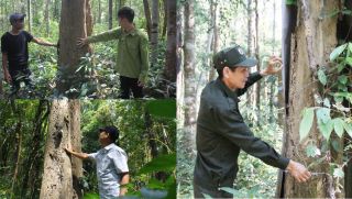 Khu rừng được bảo vệ nghiêm ngặt nhất Việt Nam: Sót lại từ thuở hồng hoang, sở hữu ‘kho báu’ vô giá