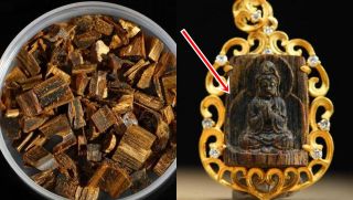 Loại gỗ thượng hạng quý hơn vàng ở Trung Quốc, giá 200 triệu/mảnh: Việt Nam cũng sở hữu với chất lượng bậc nhất thế giới