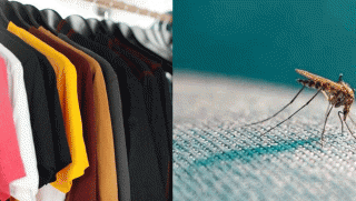 Cần tránh xa 4 màu quần áo này nếu không muốn bị muỗi đốt: Có một màu rất được ưa chuộng?