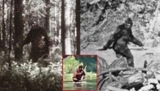 Tiết lộ hình ảnh chân thực nhất về quái vật Bigfoot từng khiến cả thế giới chao đảo