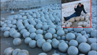 Ngỡ ngàng trước cảnh tượng hàng nghìn quả bóng bằng tuyết trôi dạt vào bờ biển, có đường kính 17cm
