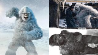 Mẫu tóc nghi của quái vật bí ẩn nhất thế giới - Người tuyết Himalaya, kết quả kiểm tra gây sững sờ
