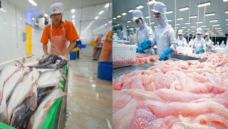 Việt Nam sở hữu mặt hàng hơn một nửa thế giới săn lùng, đứng thứ 3 thế giới về xuất khẩu