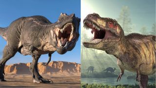 Sự thật bất ngờ về cấu tạo chi trước ngắn ngủn của khủng long bạo chúa Tyrannosaurus
