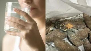 WHO cảnh báo: Hãy ngừng ăn loại ngũ cốc này, có thể gây hại cho gan!