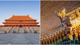 Tại sao chim không thể ‘bén mảng’ đến Tử Cấm Thành? Không phải mê tín mà có cơ sở khoa học!