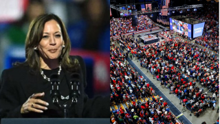 Bà Kamala Harris từ chối phát biểu vào đêm bầu cử sau khi ông Donald Trump giành chiến thắng