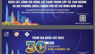 TP. Hồ Chí Minh triển khai khảo sát DDCI năm 2024