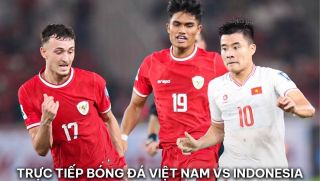 Xem trực tiếp bóng đá ĐT Việt Nam vs Indonesia ở đâu, kênh nào? Link xem trực tuyến AFF Cup 2024