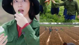 CĐM lạnh gáy khi biết nguyên liệu sản xuất kẹo Kera mới được gieo giống dù đã bán cả trăm nghìn hộp