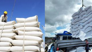 Biến động mới về giá gạo ở Philippines, có thể ảnh hưởng tới xuất khẩu gạo của Việt Nam