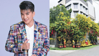 CĐM mỉa mai khi biết lý do thực sự khiến Đàm Vĩnh Hưng rao bán biệt thự triệu đô gắn bó nhiều năm