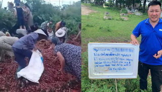 Tin vui cho tài xế xe tải bị ‘hôi của’ 4 tấn vải: Đã nhận số tiền hỗ trợ không ngờ
