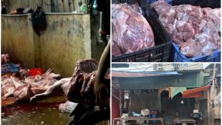 Tiểu thương chợ Phùng Khoang tiết lộ gây sốc vụ thịt nhiễm dịch tả: Cả chợ chả ai dám ăn thịt ở đó!