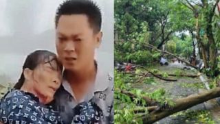 Danh tính người đàn ông lao vào mưa dông cứu một phụ nữ bị cây đè, câu nói sau đó khiến ai cũng bất ngờ 