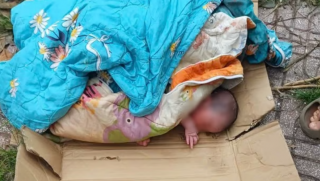 Phát hiện bé gái sơ sinh bị bỏ rơi trong thùng giấy ven đường và hành trình giành lại sự sống 