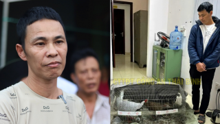 Thông tin sốc về người đặt mua gà của anh Thái Khắc Thành, nghi từng liên quan một vụ án tương tự?
