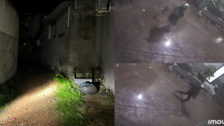 Camera ghi lại khoảnh khắc tài xế xe ôm bị sát hại trong hẻm, vẫn cố làm 1 việc trước khi gục xuống