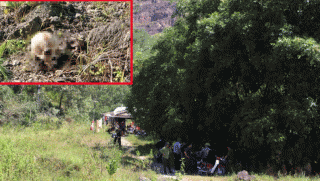 Hiện trường gây ám ảnh vụ phát hiện xương hộp sọ và xương ống chân nằm rải rác cùng quần áo nữ giới