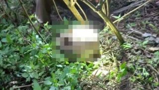 Thông tin sốc về bộ xương người tại Thái Nguyên, phát hiện vật chứng quan trọng ở hiện trường