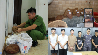 Lời khai vạch trần chiêu trò của 11 đối tượng livestream bán đá 'đổ thạch', lừa đảo hơn 10 tỷ đồng