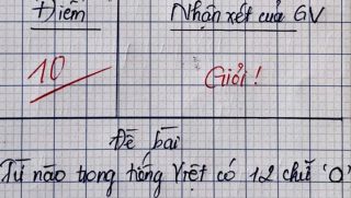 Từ nào trong tiếng Việt có đến 12 chữ 'O'? Câu đố khiến nhiều người phải vò đầu bứt tai