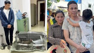 Vụ án ‘gà lôi trắng’ và bản án 6 năm tù: Hé lộ tình tiết mới trước phiên tòa phúc thẩm của Thái Khắc Thành