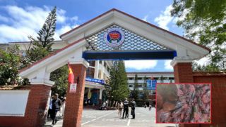 Xác minh phản ánh suất ăn bán trú tại trường tiểu học có dấu hiệu kém chất lượng, phụ huynh lên tiếng khiến MXH xôn xao