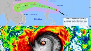 Bão số 9 Ragasa giật cấp trên 17: Đổi hướng bất ngờ, ảnh hưởng tới miền Bắc và miền Trung Việt Nam 