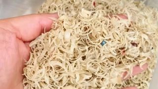 Hé lộ lý do Trung Quốc thu mua móng tay người với giá cao