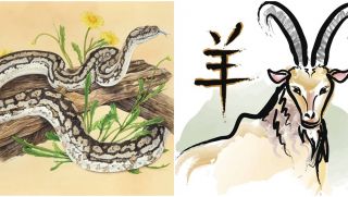 Từ 1/10, 4 con giáp sau sẽ đón may mắn, tiền vào như nước, không phải lo toan chuyện tiền bạc