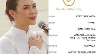 Ca sĩ Mỹ Tâm công khai ủng hộ số tiền 'khủng' đến đồng bào gặp lũ lụt, dân tình lo lắng một vấn đề
