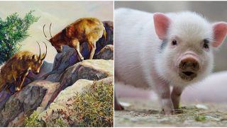 Bước sang tháng 10, 4 con giáp sẽ có tài lộc dồi dào, sự nghiệp thăng tiến, cuộc sống tốt đẹp hơn