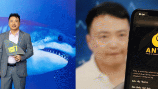 Công an Hà Nội thông tin nóng về đơn trình báo Shark Bình chiếm đoạt tài sản qua dự án tiền số AntEx
