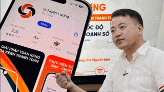 Loạt thông tin ít ai biết về Cổng thanh toán Ngân Lượng của Shark Bình: Vốn điều lệ từ 369 tỷ xuống 52 tỷ