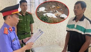 Khởi tố, bắt tạm giam người đàn ông đâm hàng xóm vì nghi ngờ đầu độc 3 con vịt, đối diện án phạt nghiêm khắc