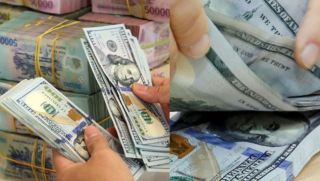 Tỷ giá USD hôm nay 12/10: Giá USD tự do giảm mạnh nhất nhiều tuần, thị trường ngoại tệ 'dậy sóng' cuối tuần