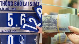 Lãi suất hôm nay 19/10: Gửi tiền tại Agribank lãi cao 'bất ngờ', nhiều ngân hàng tung ưu đãi hấp dẫn