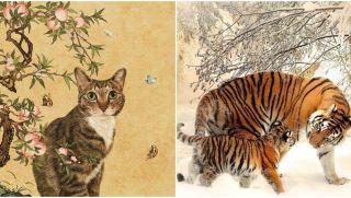 Từ ngày 19/10, 3 con giáp sau sẽ đón phước lành, nguồn tiền đổ về bất ngờ, hạnh phúc tràn đầy