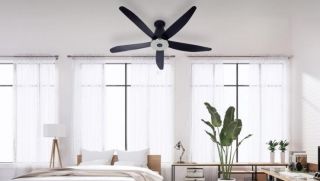 Mua quạt trần Panasonic chính hãng ở đâu uy tín, giá tốt?