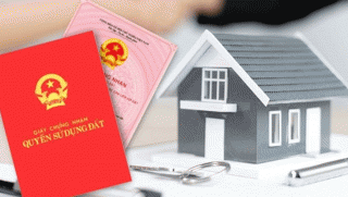 Thông tin chi tiết về 24 lô đất có diện tích từ 85m² đến 248m²: Giá khởi điểm từ 2,3 triệu đồng/m²