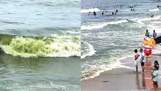 Nguyên nhân nước biển Vũng Tàu đổi thành màu xanh lá cây lạ mắt, xuất hiện mảng nổi li ti