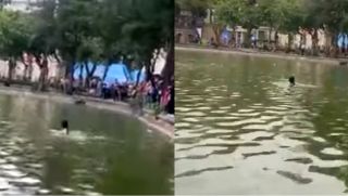 Biểu hiện lạ của cô gái trước khi nhảy xuống hồ Hoàn Kiếm tử vong, nhiều người thấy nhưng không cứu?