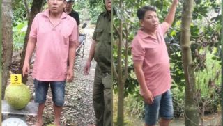 Hé lộ lý do khởi tố đối tượng trộm 2 quả mít trị giá 387 ngàn đồng