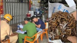 TP.HCM: Lộ danh tính đối tượng rải hàng trăm vật sắc nhọn trên đường Đỗ Mười