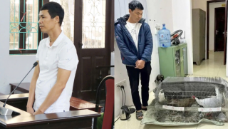 Nuôi gà lôi trắng bị kết án 6 năm tù: Viện KSND Tối cao thừa nhận loạt sai sót pháp lý, xin rút kinh nghiệm