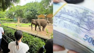 Vườn thú lớn nhất TP.HCM từng lao đao vì nợ thuế giờ hồi sinh kì diệu, hé lộ doanh thu khủng