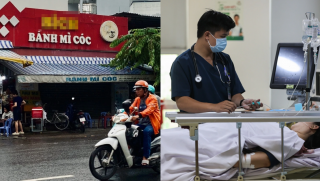 Hơn 230 người nhập viện sau khi ăn bánh mì ở TP.HCM: Hé lộ dấu hiệu nghi do khuẩn Salmonella gây ra